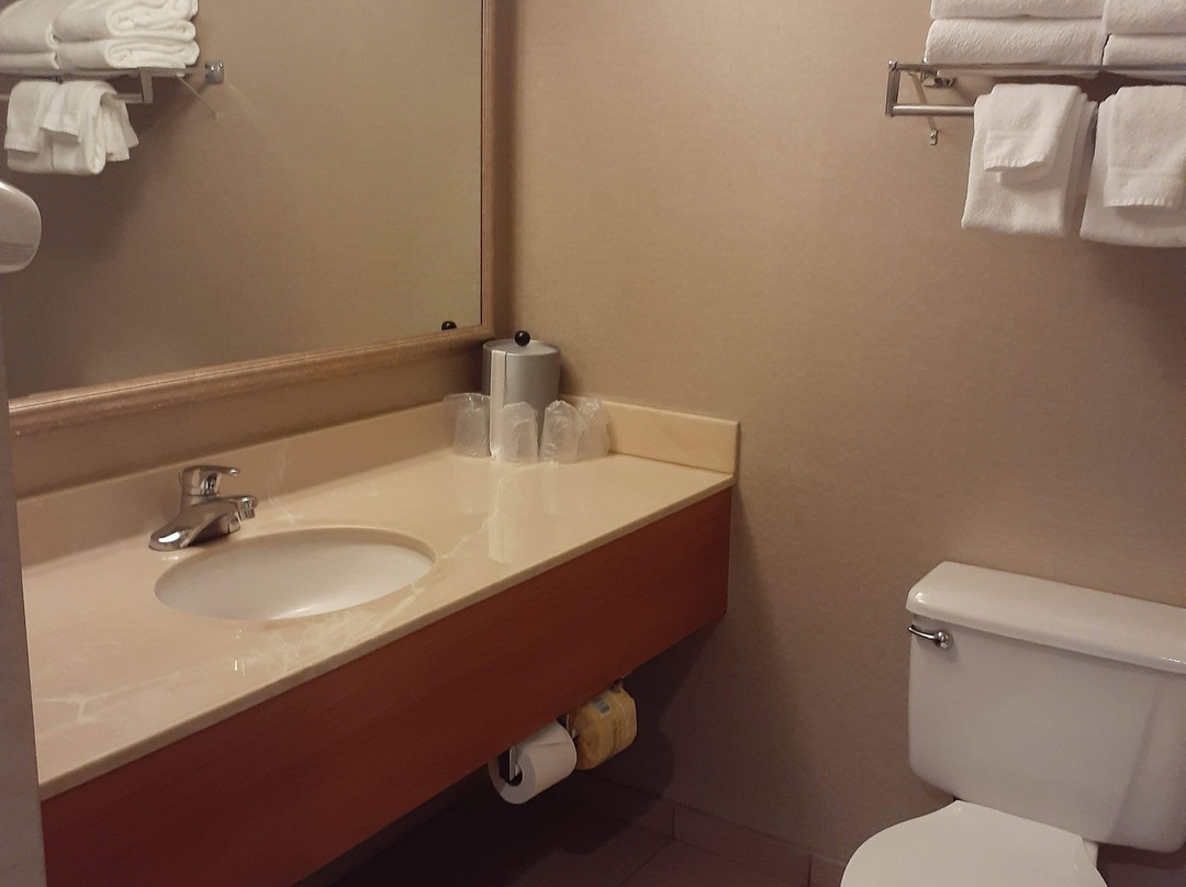 罗斯堡快捷假日酒店主图