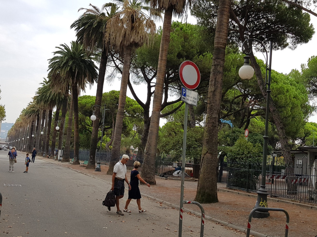 Parco Salvador Allende景点图片