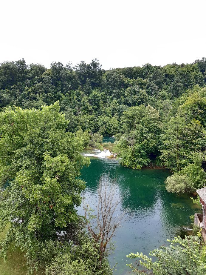 Zeleni Kut-官方
