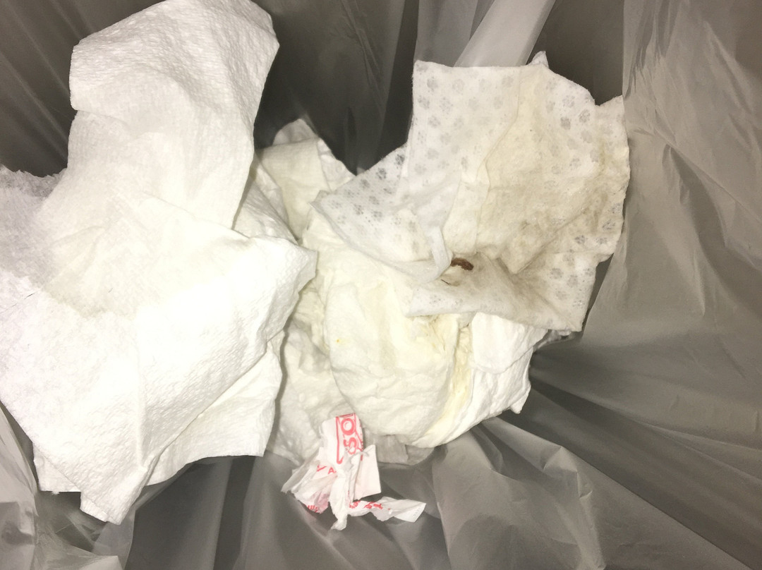 Iris Garden Inn主图