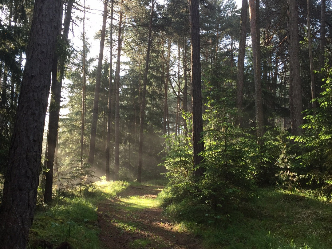 Haus Alpengluehn主图