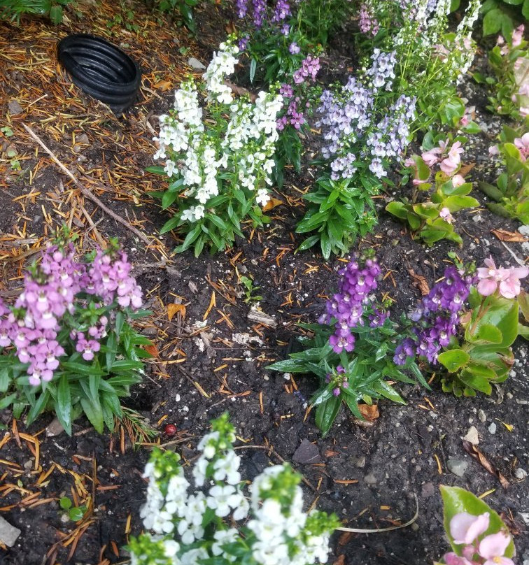 Smith Gardens-代顿必去景点