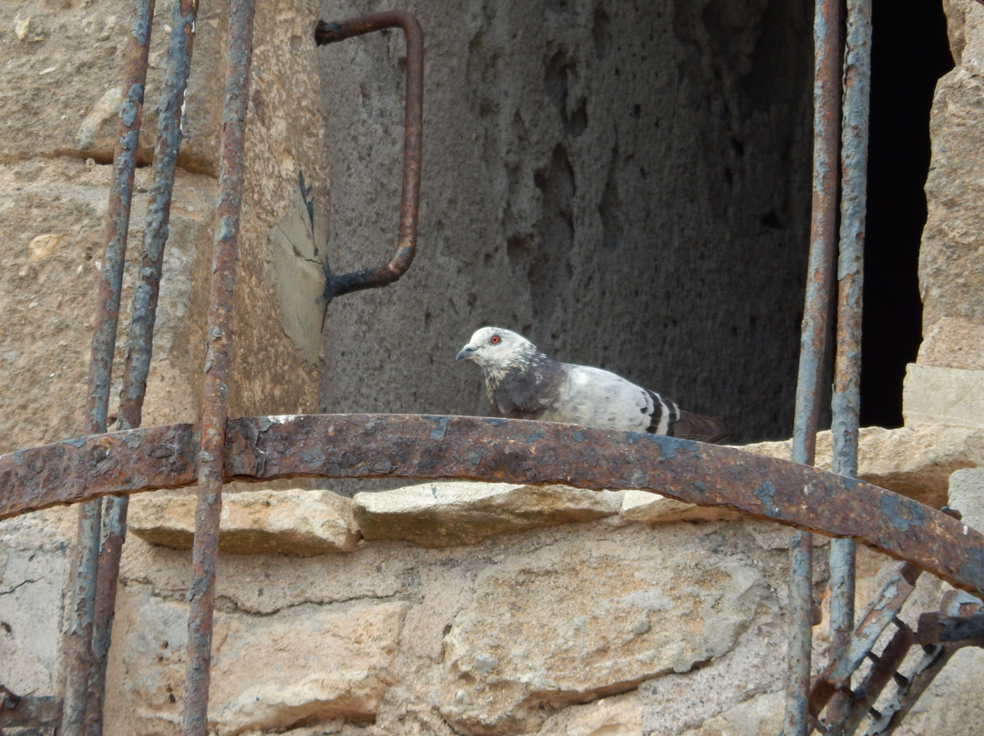 Torre Garcia-加塔角必去景点