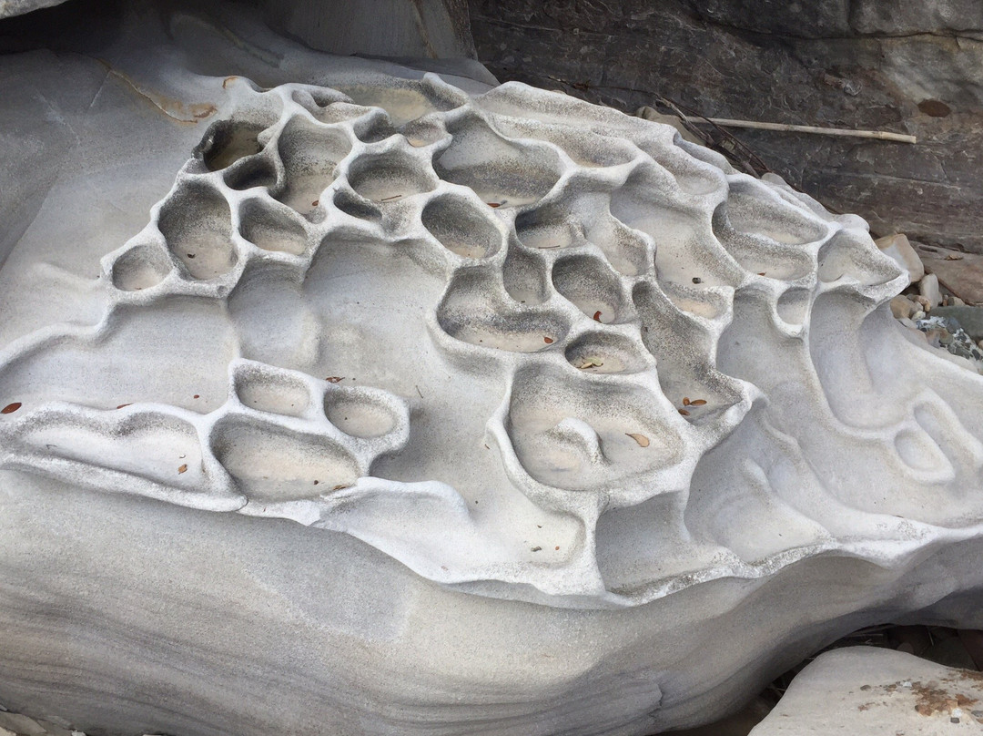 Tatsukushi Coast-土佐清水市必去景点