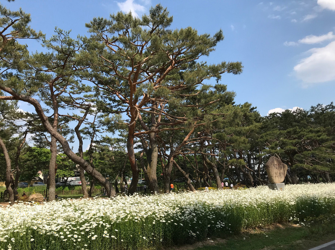Uirimji Lake-堤川市必去景点