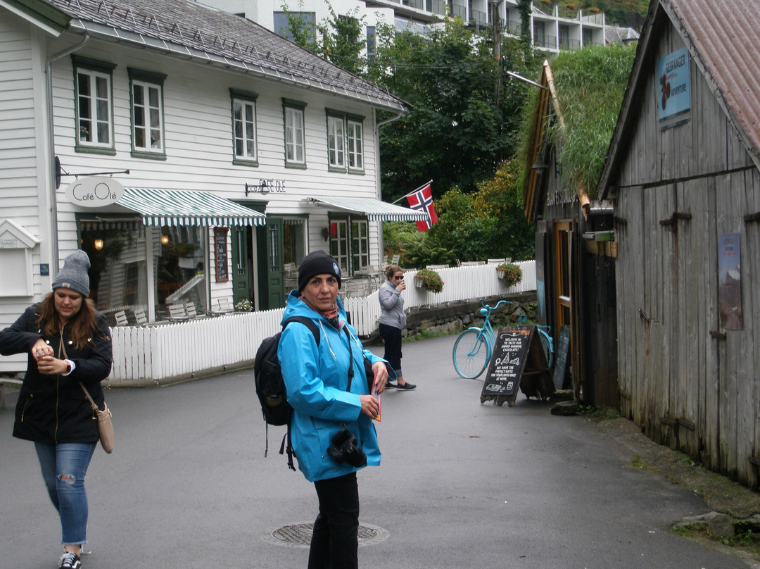 Geiranger Tourist Information Office景点图片