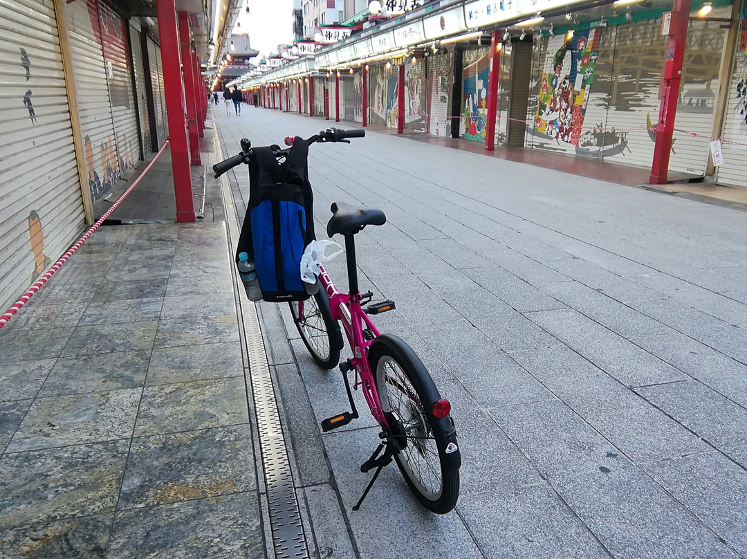 Asakusa Kaminarimondori Shopping Street-Asakusa必去景点