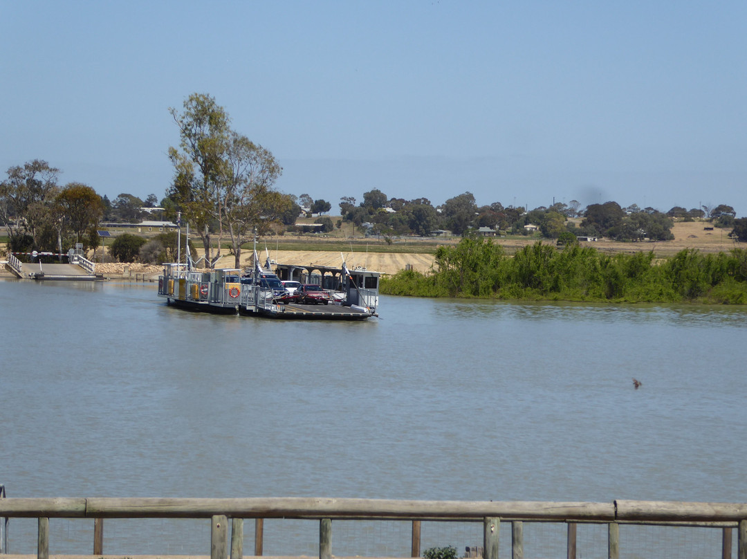 Tailem Bend Ferry景点图片