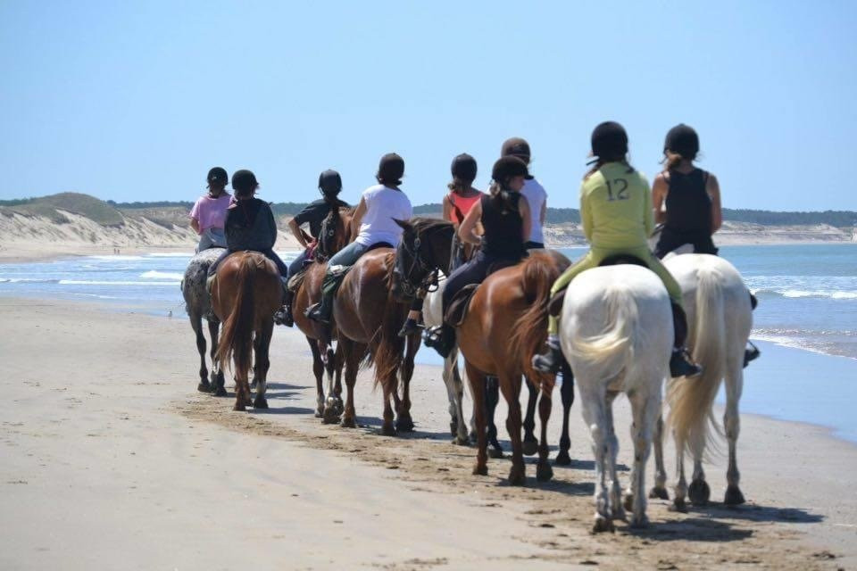 Centre de Tourisme Equestre de St Vivien景点图片