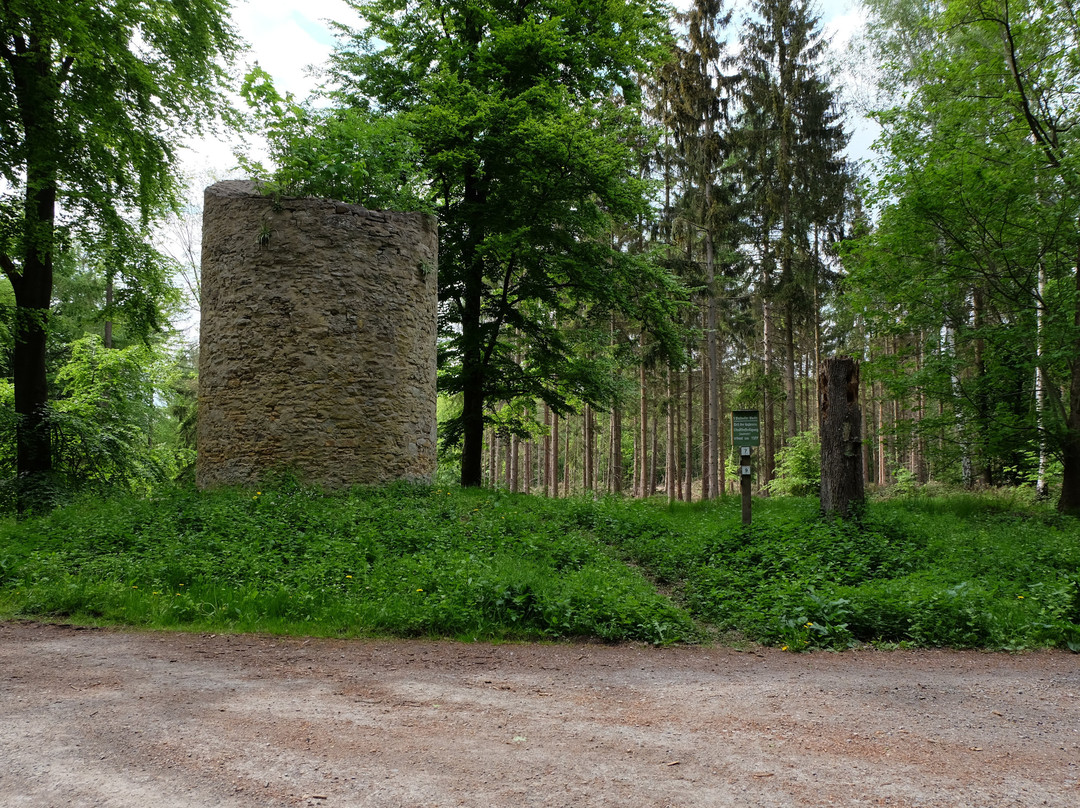 Walbecker Warte-Helmstedt必去景点