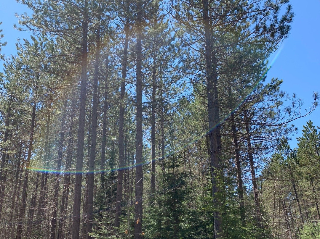 Keyes Lake Campground