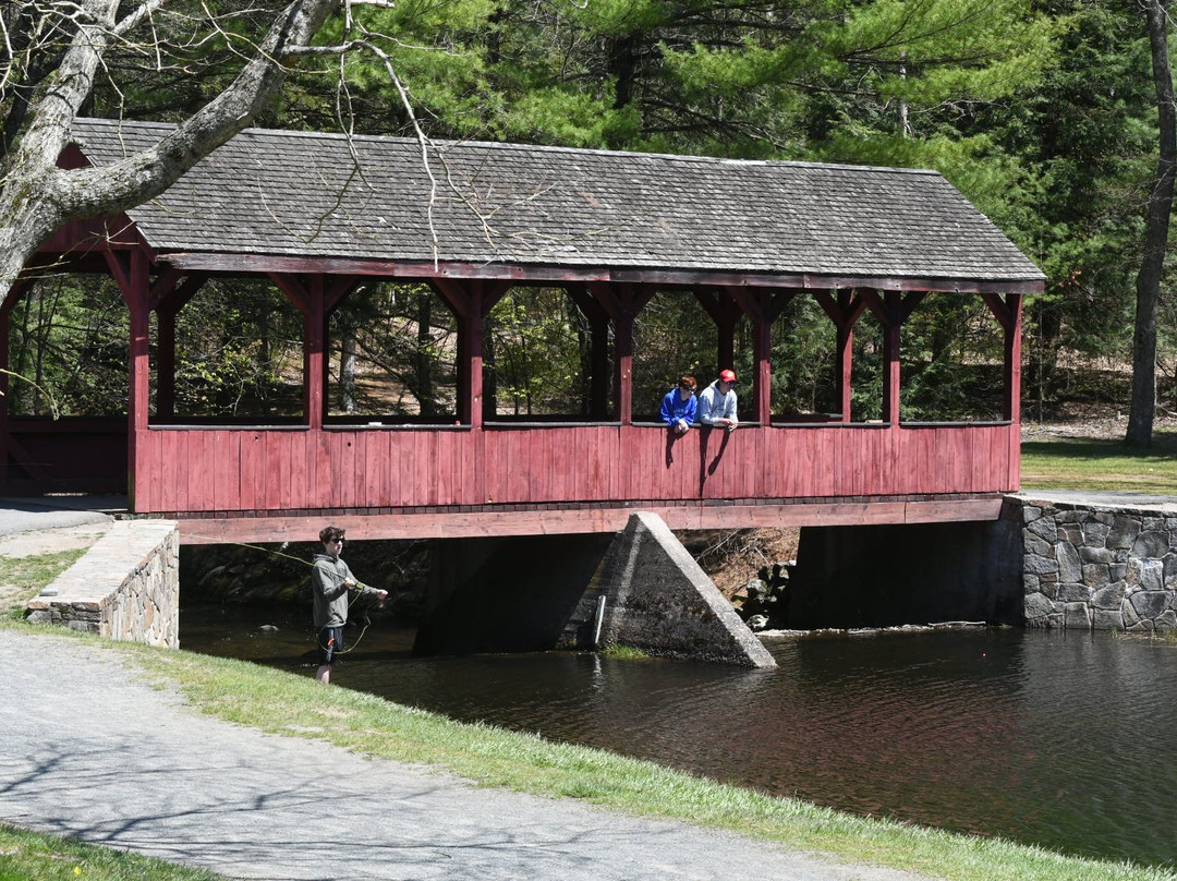Stratton Brook State Park-锡姆斯伯里必去景点