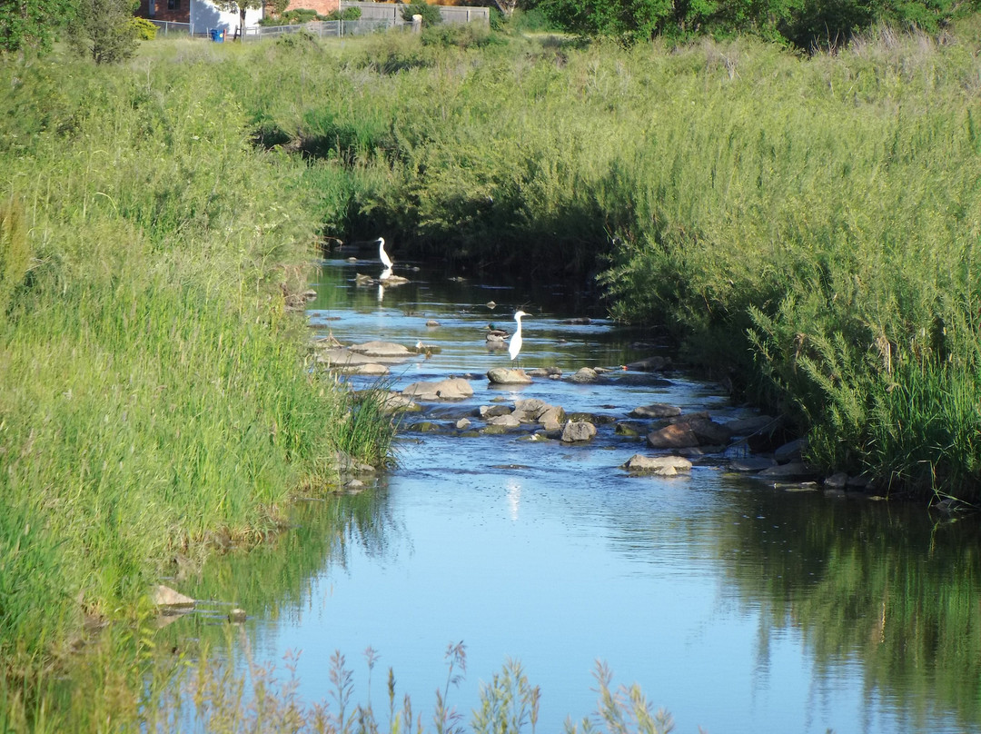 Horseshoe Park-奥罗拉必去景点