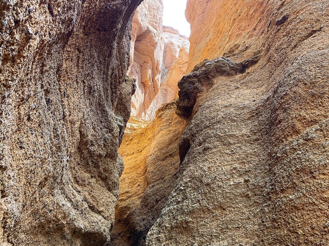 Red Mountain Trail-弗拉格斯塔夫必去景点