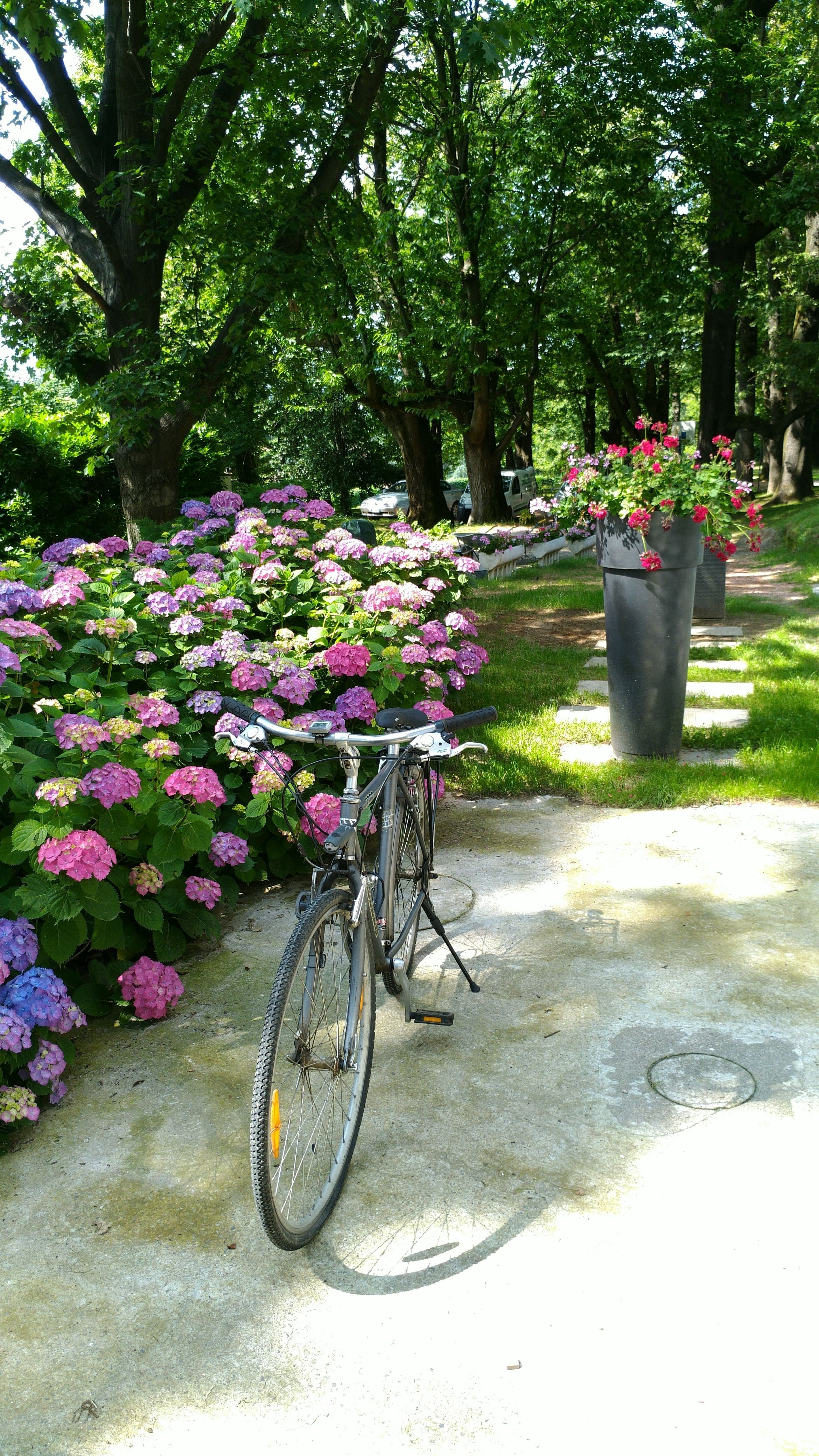 La Selvetta Bed And Breakfast-官方