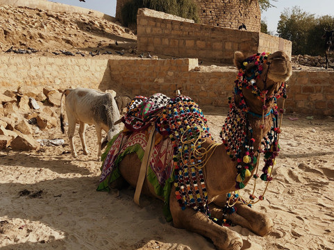 Trinetra Tours-新德里必去景点