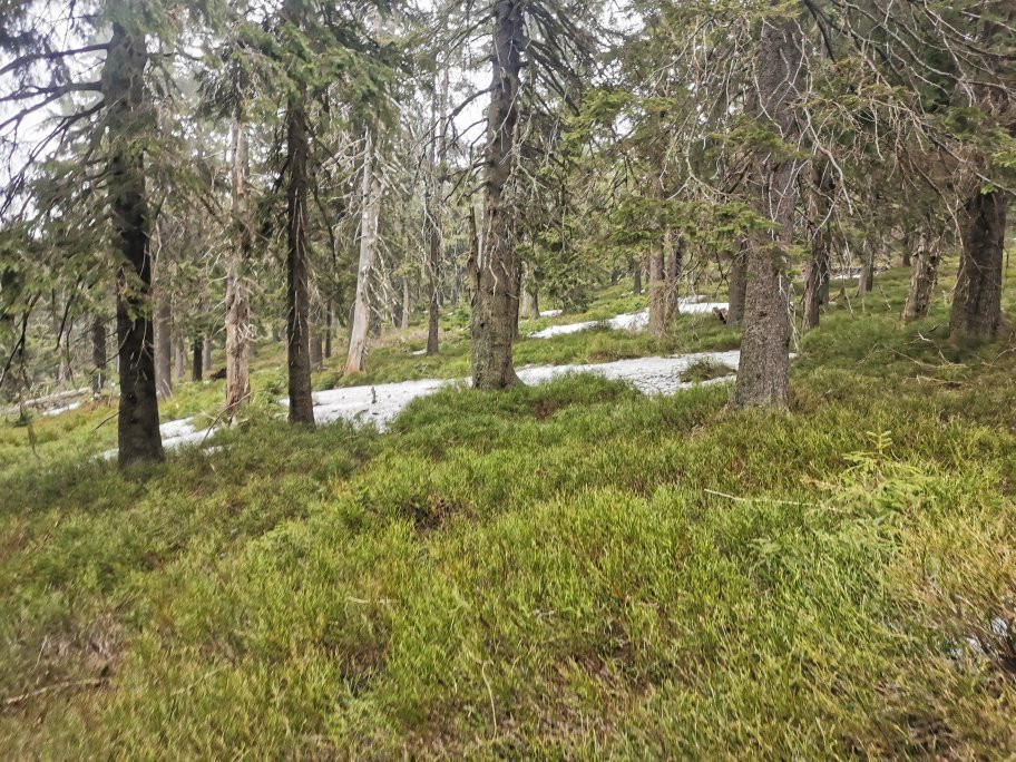 Snieznik Mountain Peak景点图片