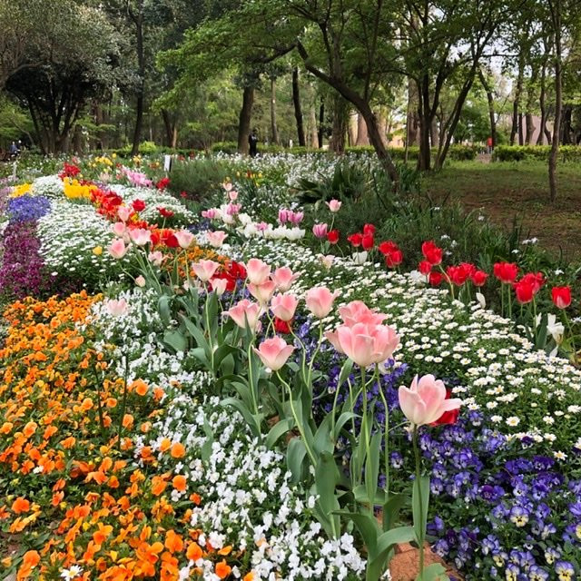Rinshinomori Park-品川区必去景点
