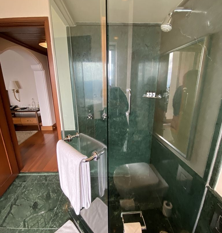 Ananda in the Himalayas主图