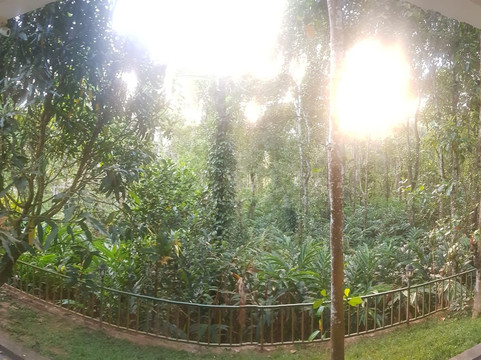 Pepper County Home Stay主图