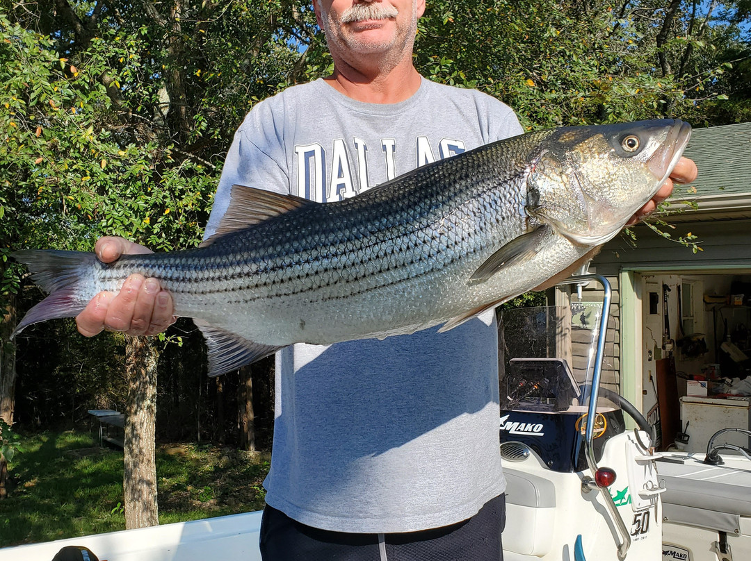 Busch Mountain Fishing Guide Service景点图片