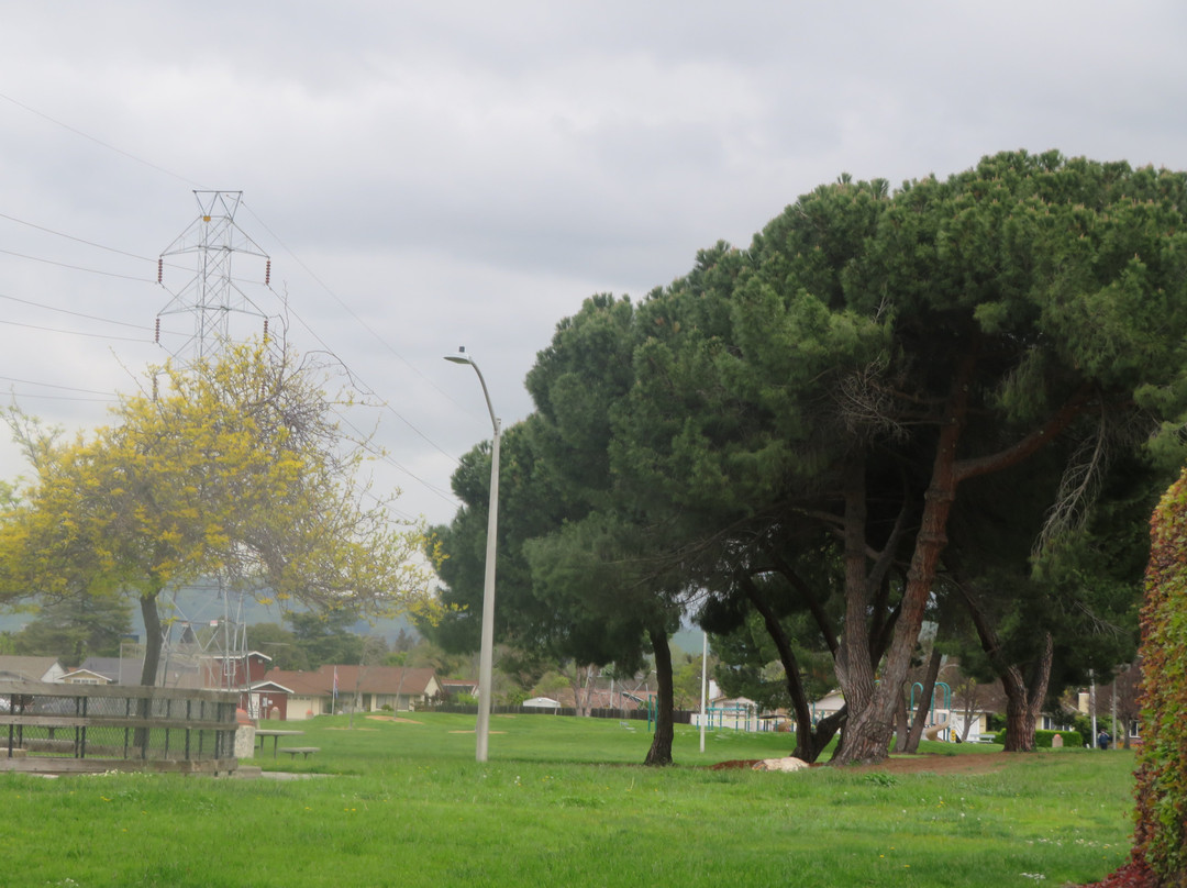Montague Park-圣克拉拉必去景点