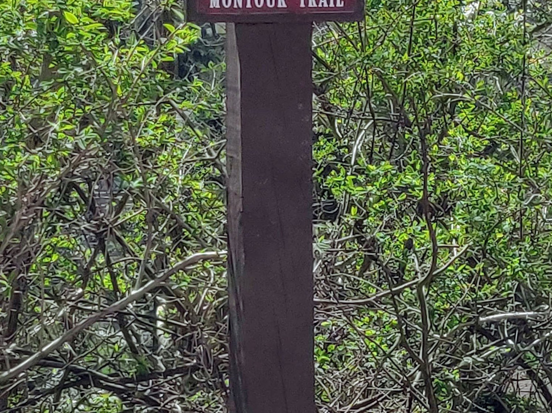 Montour Trail - Bethel Park Branch景点图片