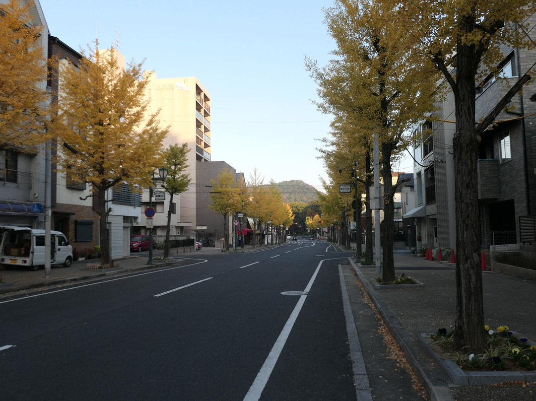 Kashihara Oak Hotel主图