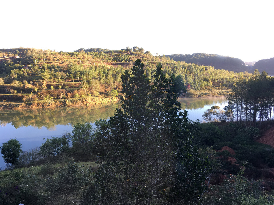 Zen Cafe Lakeside主图