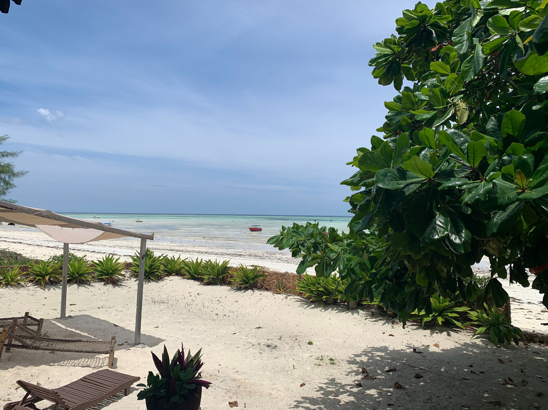 Arabian Nights Hotel主图