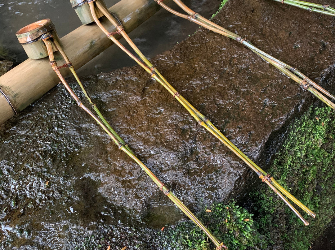 Kamosu Shrine-松江市必去景点