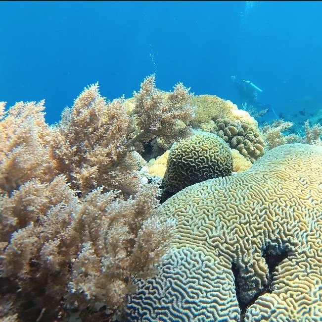 Bira Dive Centre景点图片