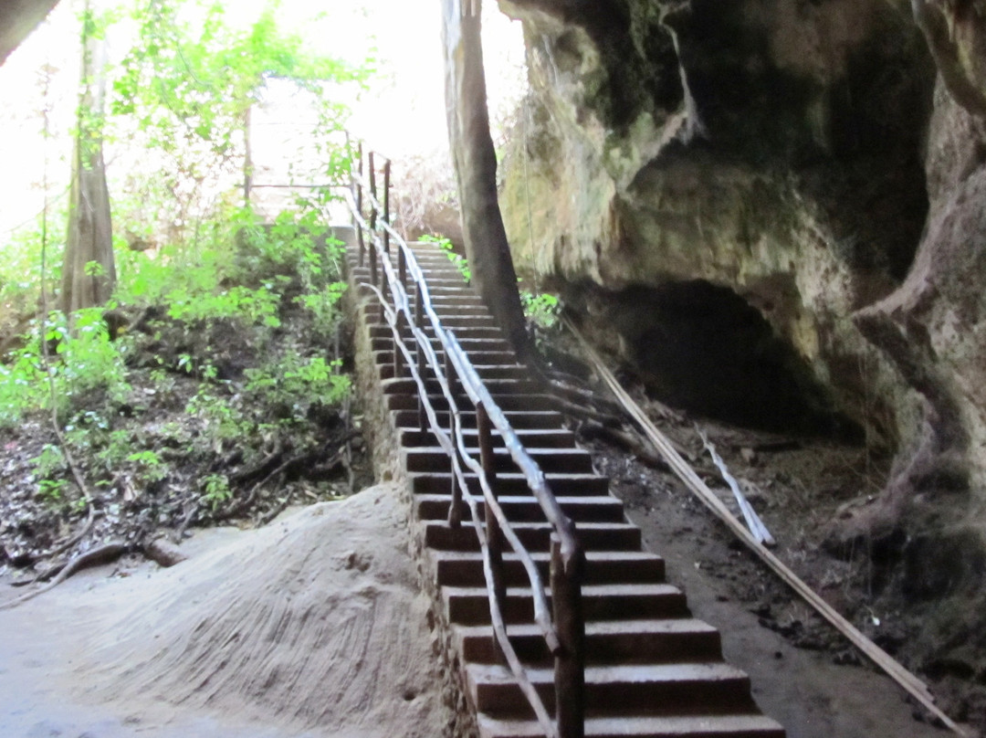 Slave Caves-Shimoni必去景点