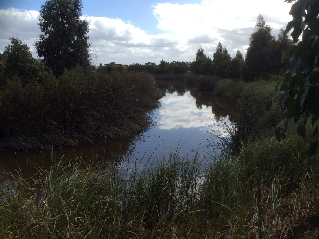 Firmins Lane Wetlands-摩威必去景点