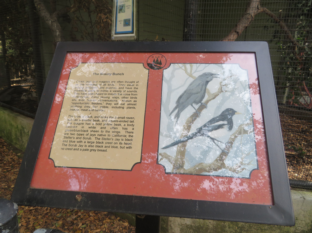 Sulphur Creek Nature Center-海沃德必去景点