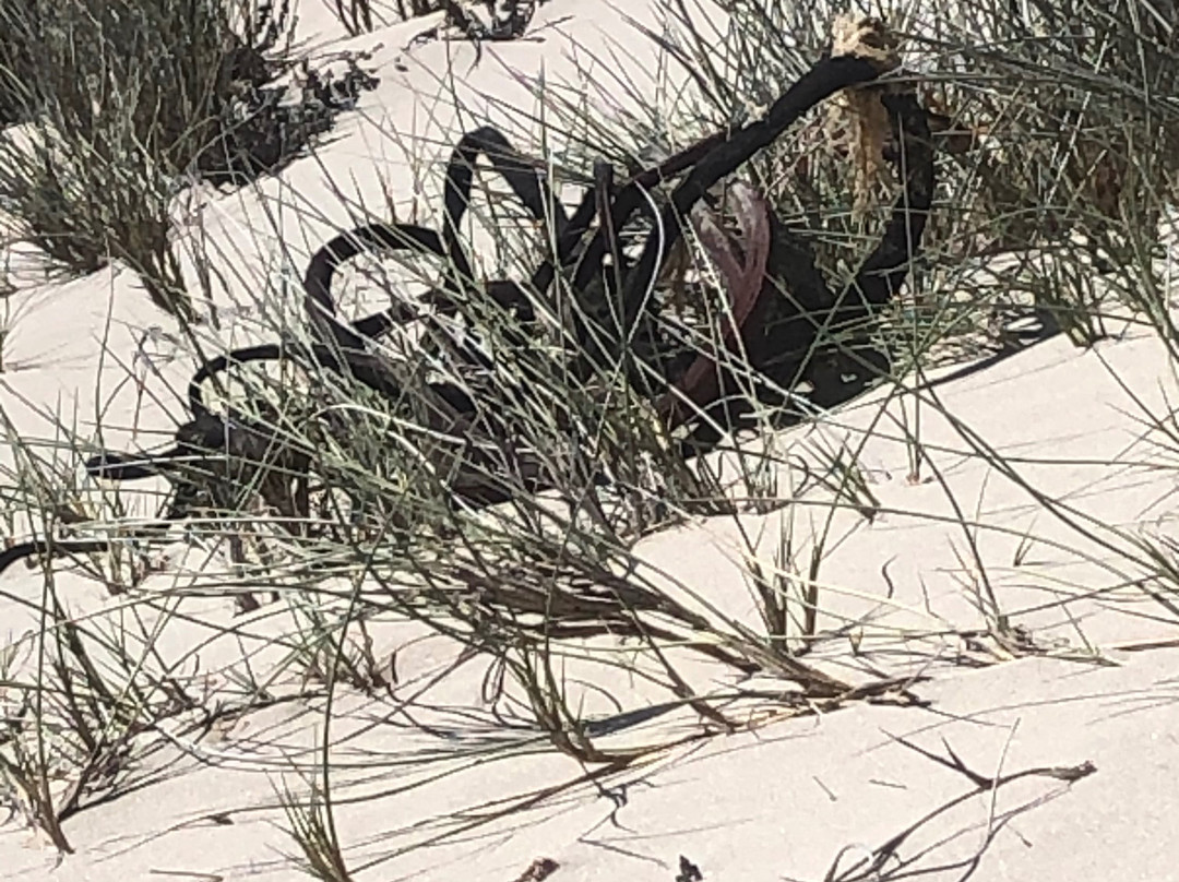 Gonana Guesthouse主图