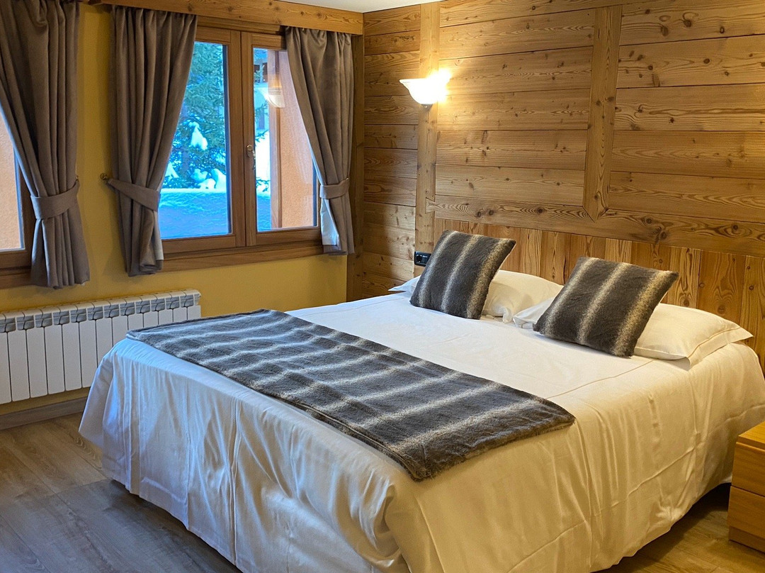 Chalet Alpina Hotel & Apartments主图