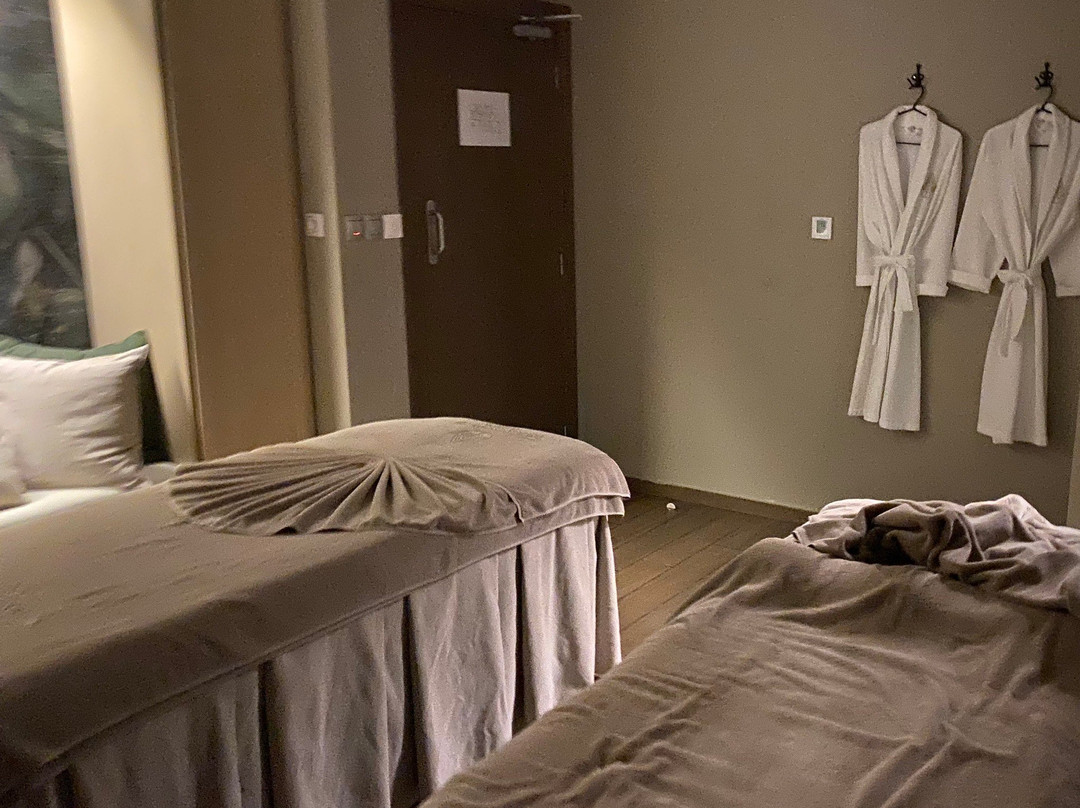 Renova Spa, RIU Atoll景点图片