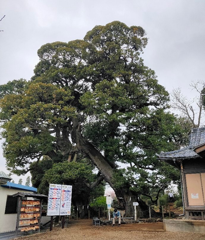 Kokonoe Shrine-川口市必去景点