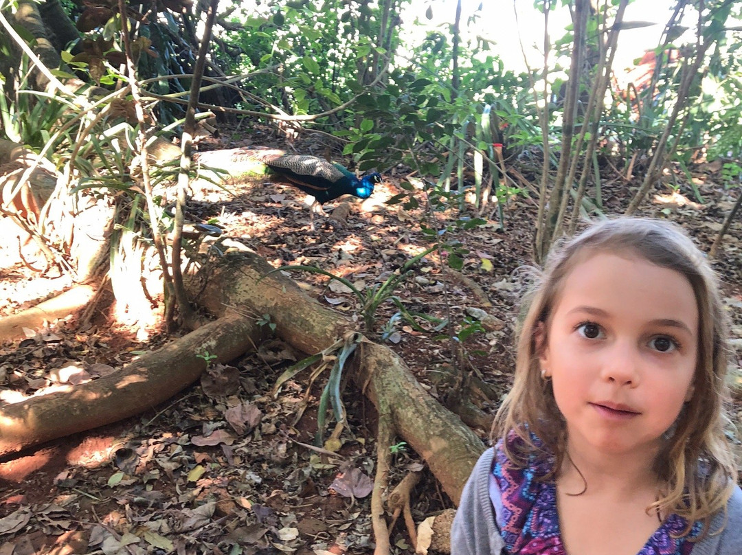 Jardin Botanico de Viñales-维纳勒斯必去景点