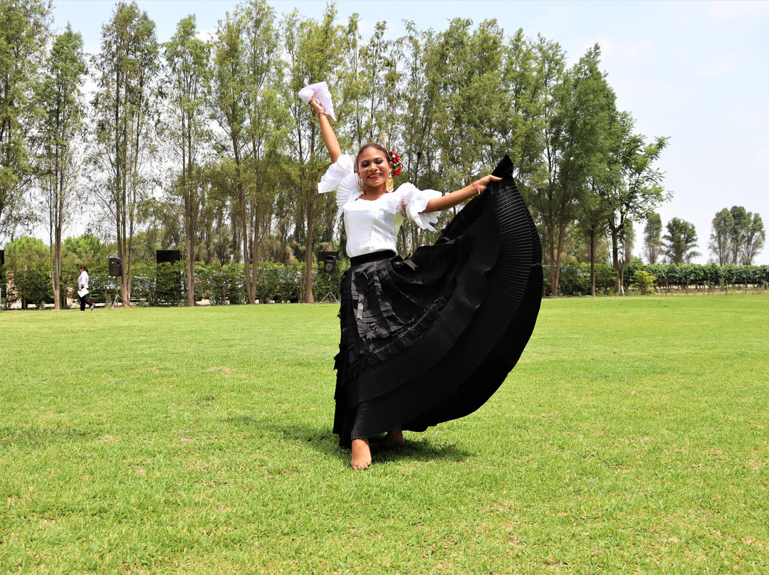 Travel Adventures Peru-Huacachina必去景点