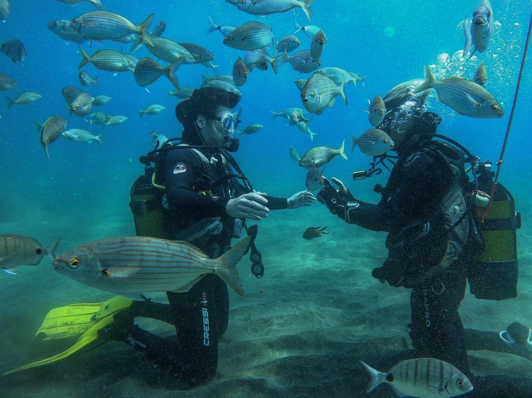Canary Diving Adventures-莫干山必去景点