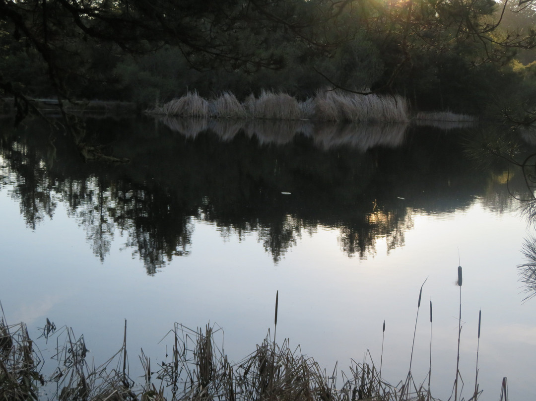 Russian Ridge Open Space Preserve-雷德伍德城必去景点