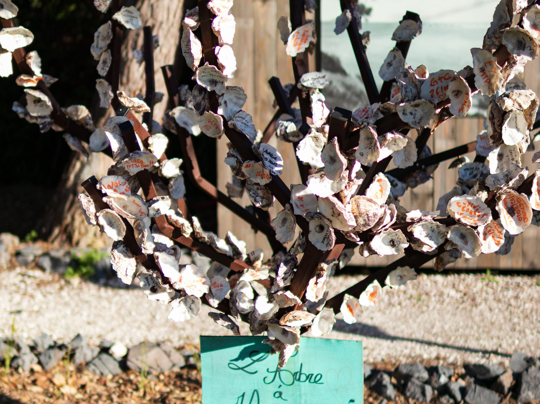 Domaine Tarbouriech主图