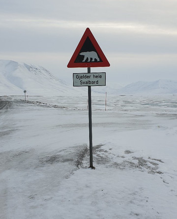 Svalbard Bus and Taxi-朗伊尔城必去景点