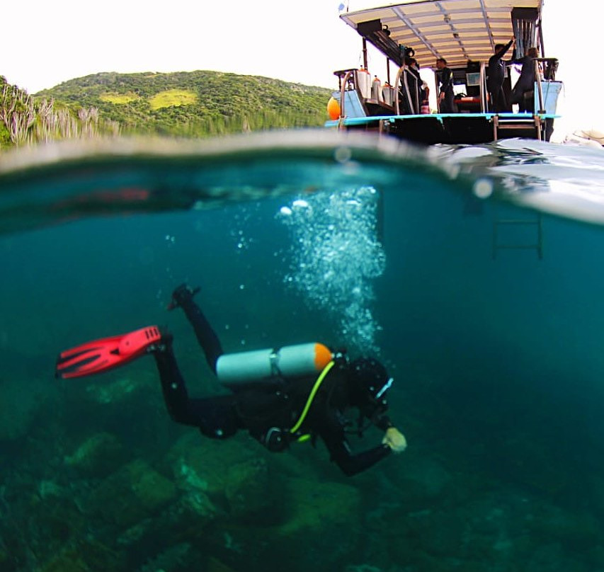 Queiroz Diver-阿拉伊阿尔港必去景点