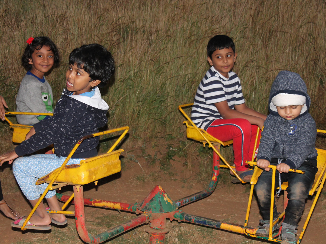 Sterling Ooty Fern Hill主图