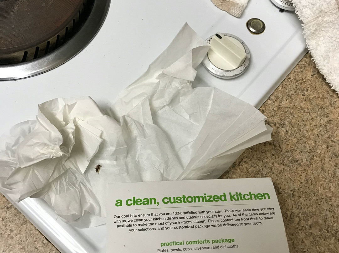 Extended Stay America - Cincinnati - Springdale - I-275主图