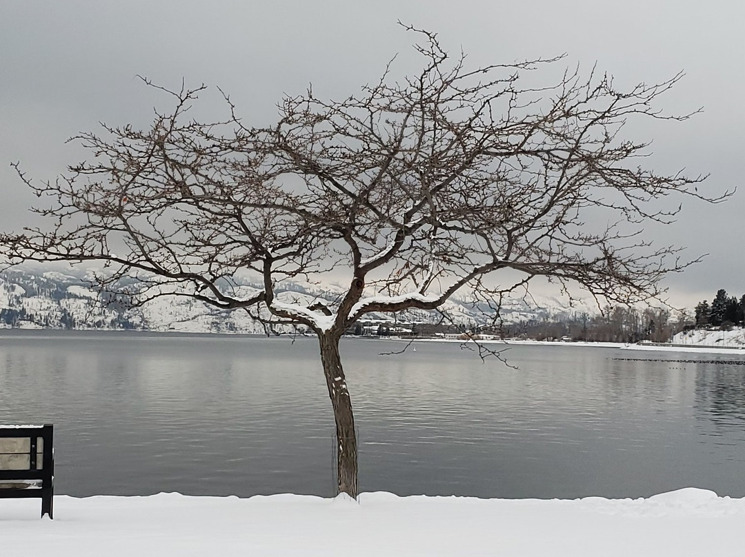 Gellatly Bay Aquatic Park景点图片