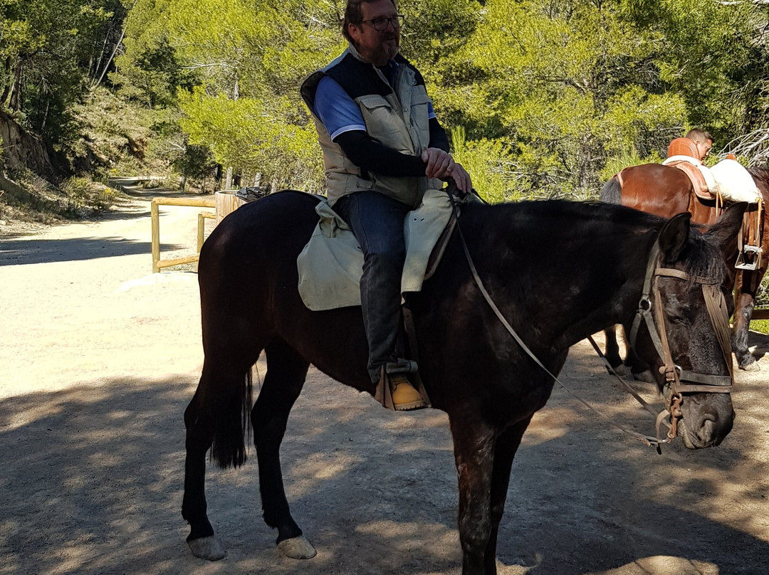 La Posada de Colomera主图